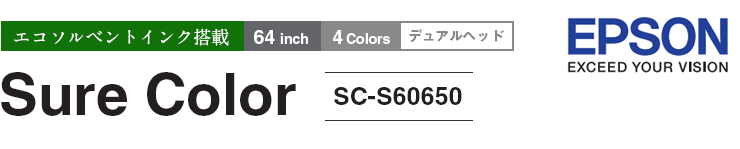 SC-S60650