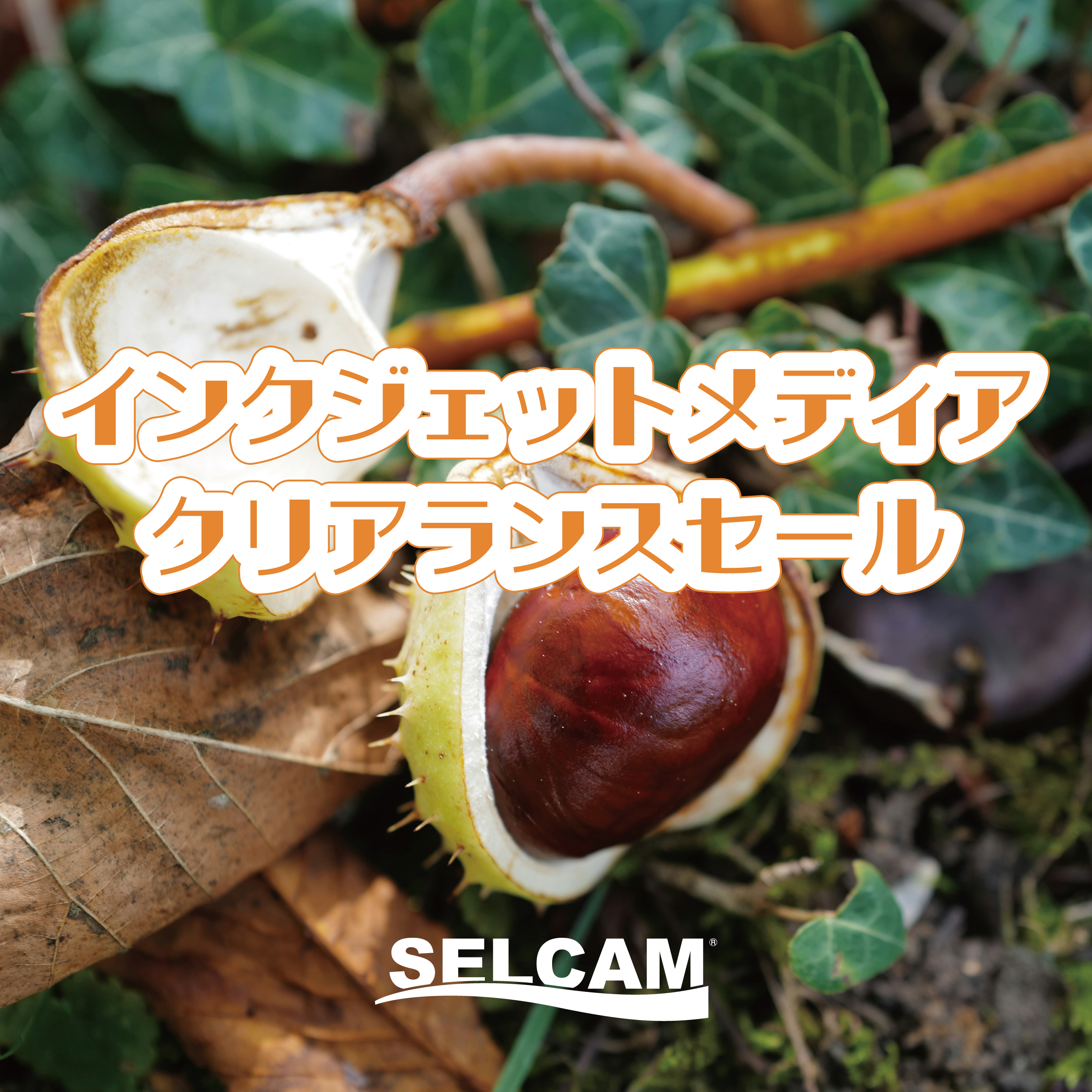 インクジェットメディアクリアランスセール